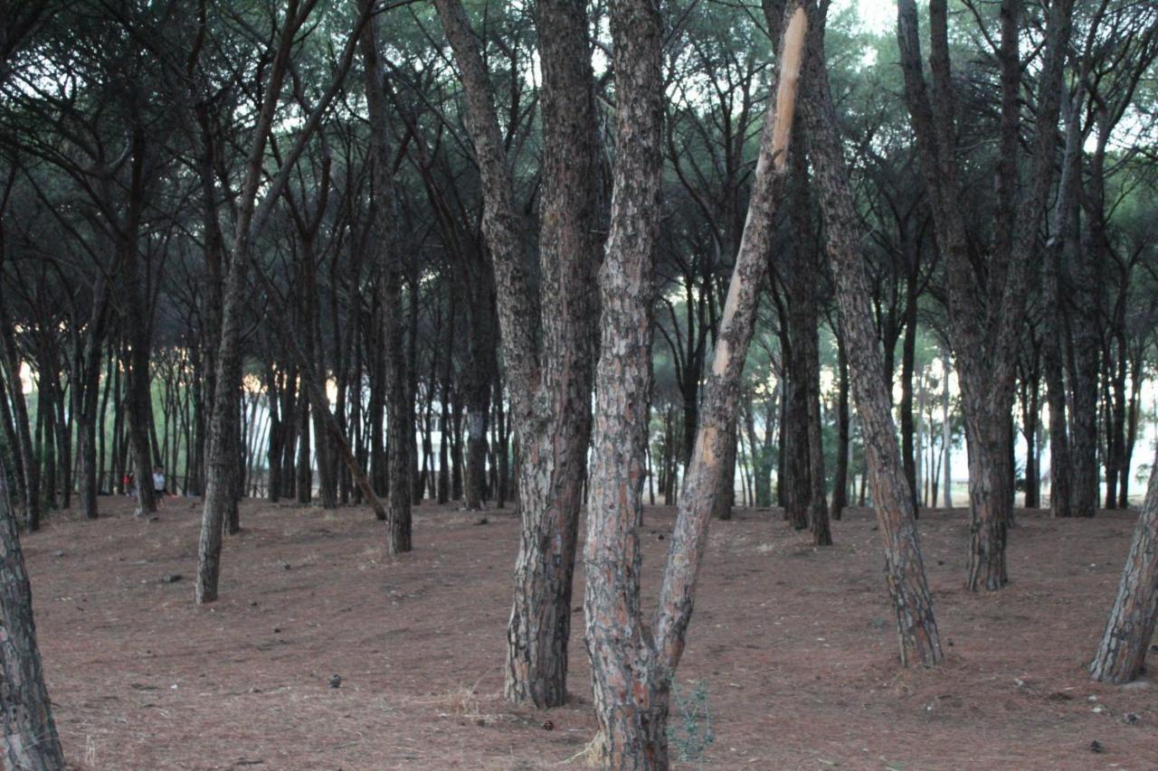 Park Hotel Le Dune Di Giovino Catanzaro Esterno foto